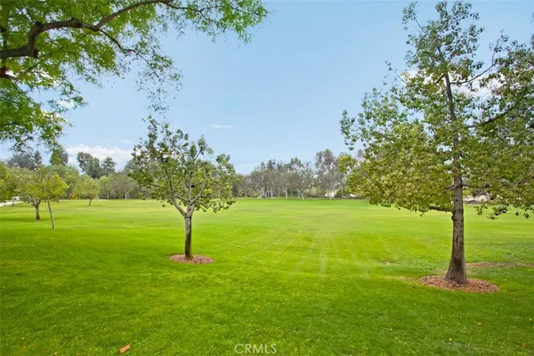 a view of yard with grass and a trees