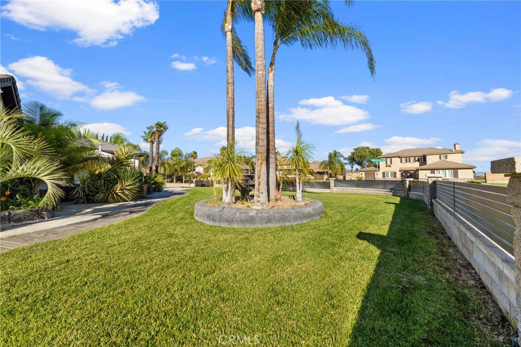6069 Cannich Road Riverside, CA 92507 - Photo 8 of 75 a view of a swimming pool with a lawn chairs under palm tree