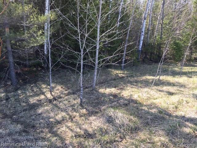 9635 Indian Reserve Road Alpena, MI 49707 - Photo 12 of 30 Gallery Image 12