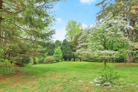 a view of a garden with trees