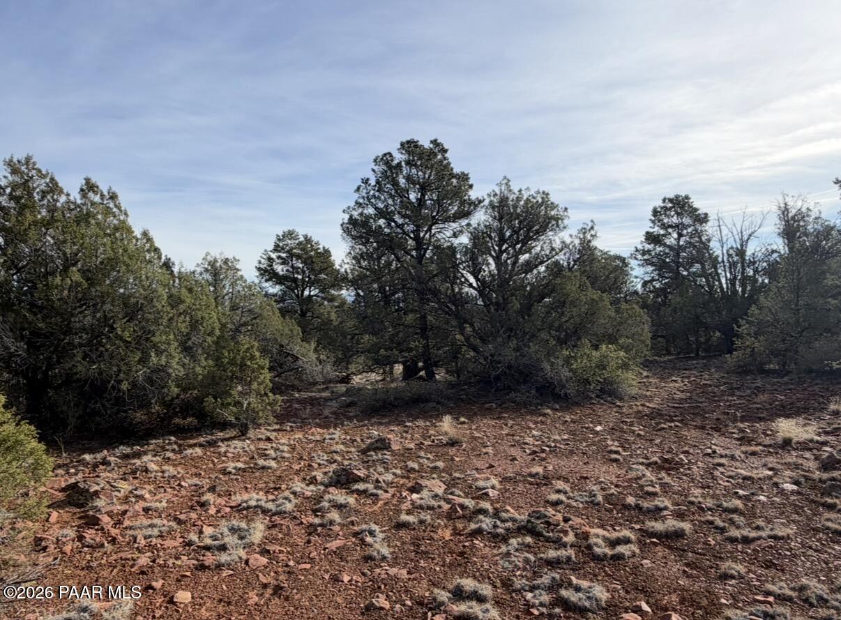 66 A Howling Wolf Road Ash Fork, AZ 86320 - Photo 2 of 10 a view of a yard with trees in front of it