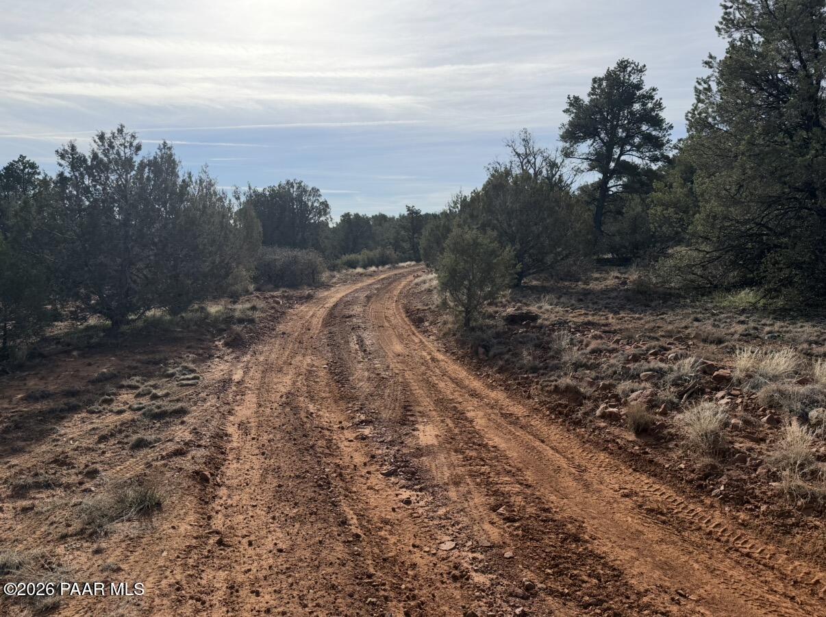 66 A Howling Wolf Road Ash Fork, AZ 86320 - Photo 6 of 10 a view of a yard with mountain view in back