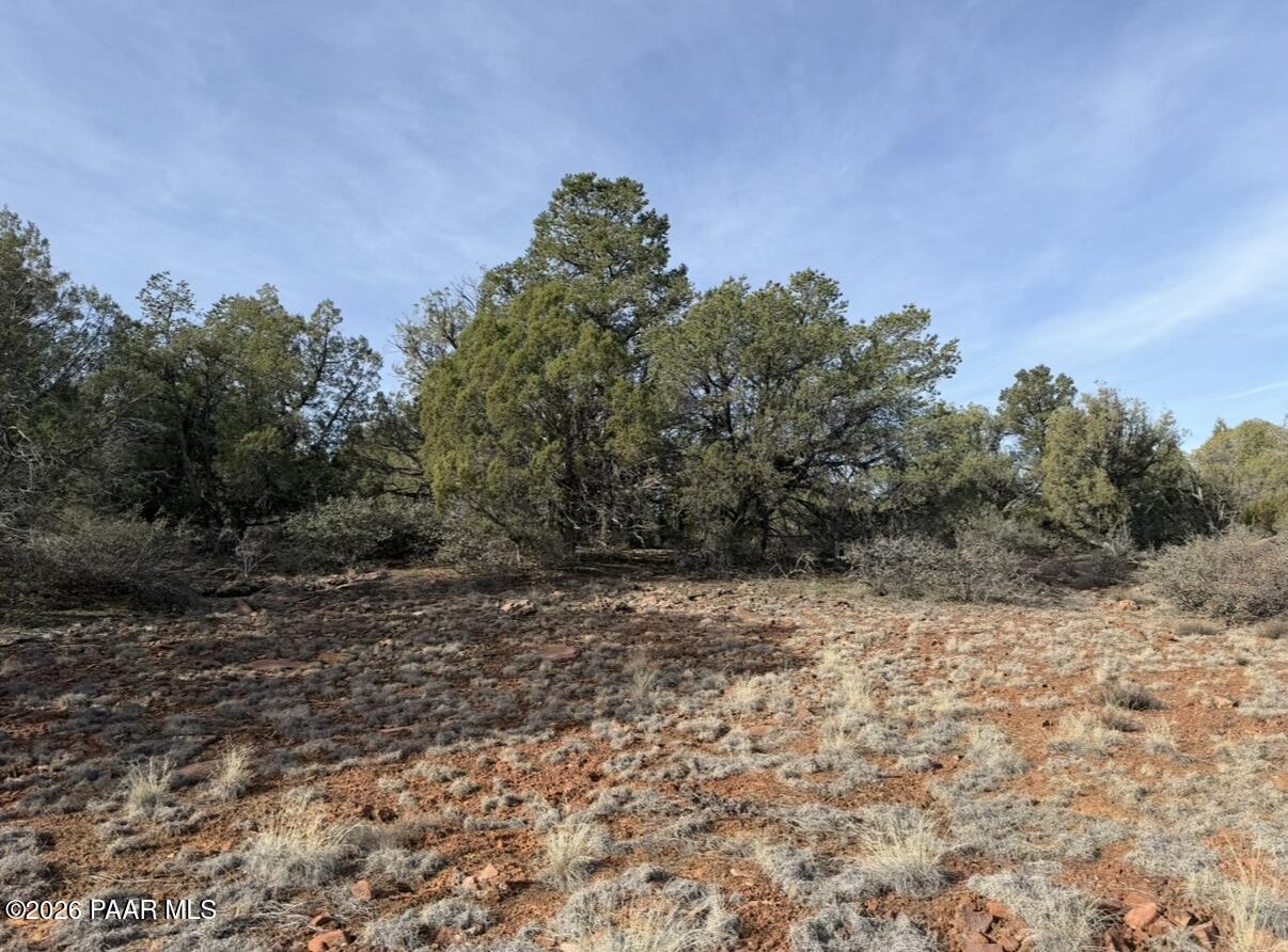 66 A Howling Wolf Road Ash Fork, AZ 86320 - Photo 7 of 10 a view of a yard with a tree
