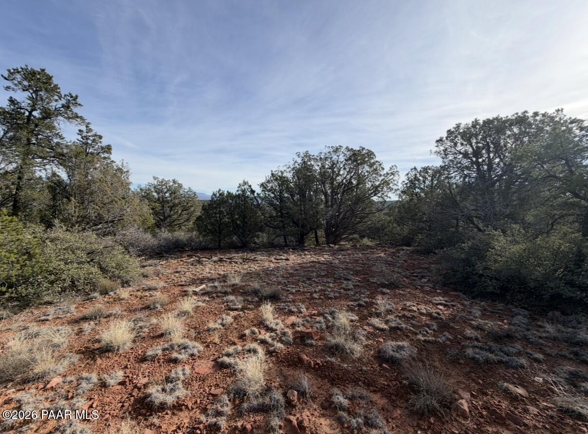66 A Howling Wolf Road Ash Fork, AZ 86320 - Photo 8 of 10 a view of a yard with a tree