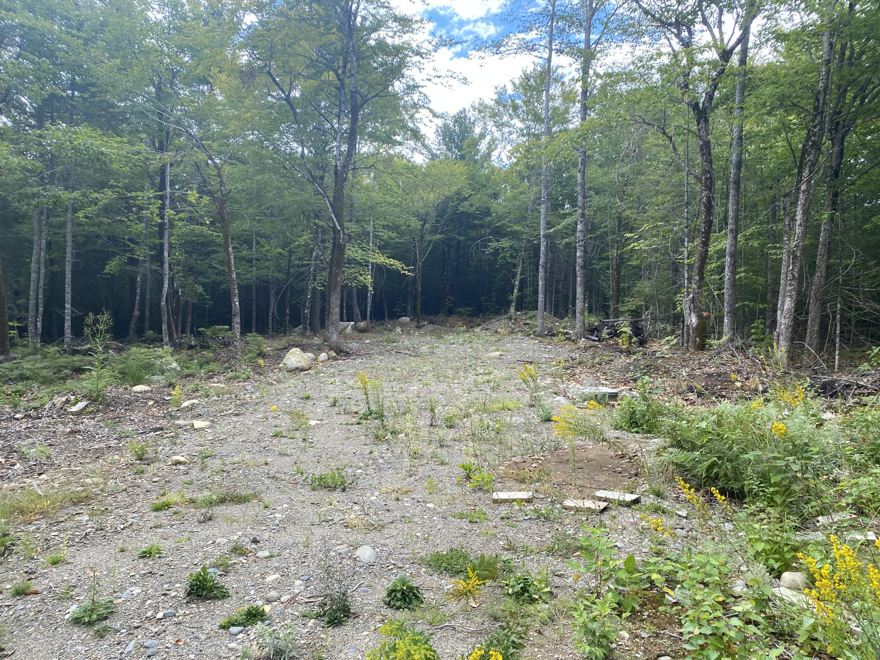 Lot 8 Whitetail Ridge Road Enfield, ME 04493 - Photo 3 of 11 Photo Sep 07, 12 53 52 PM