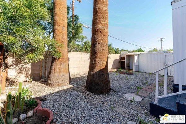 a view of a backyard