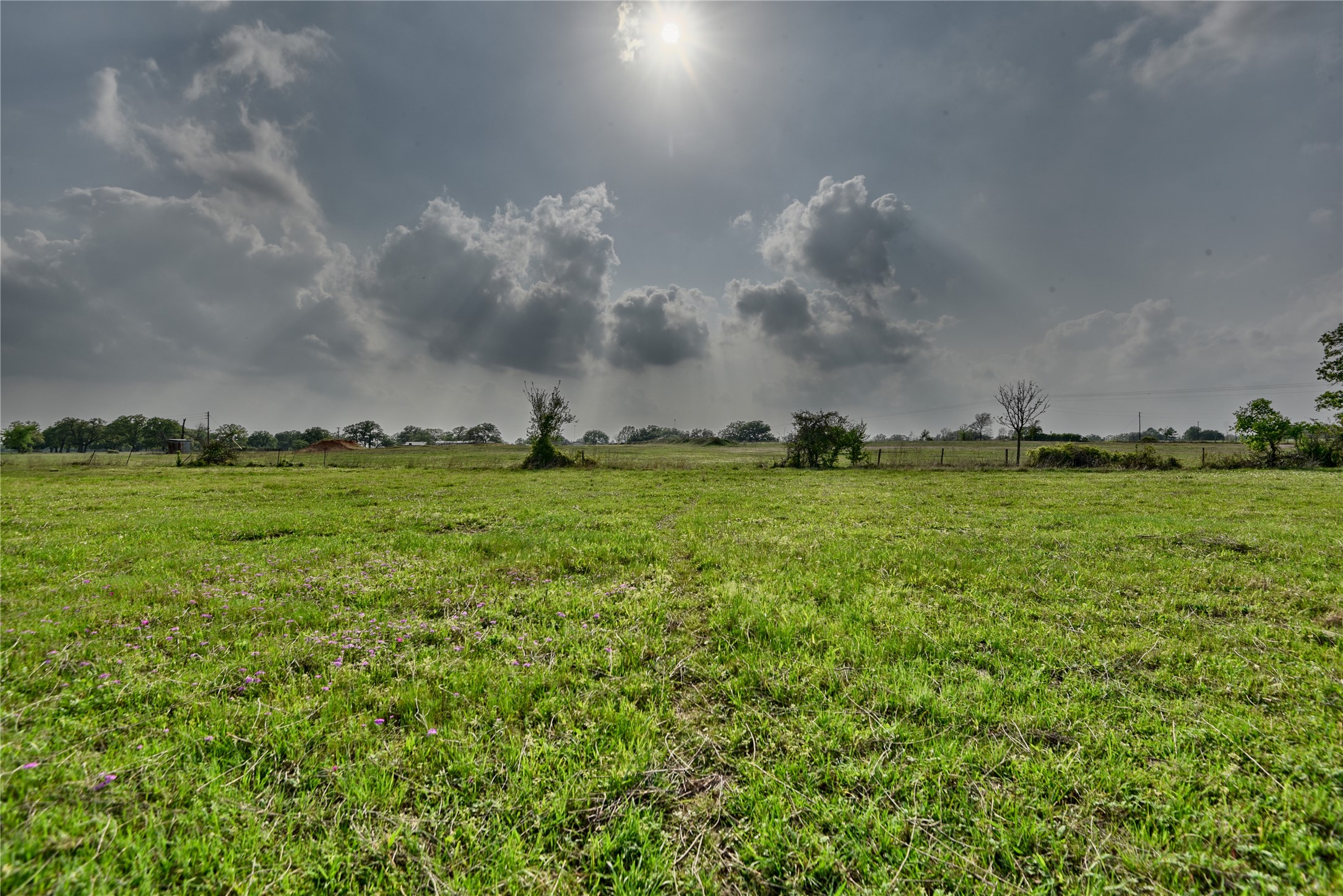 141 St Giddings Tx 78942 Giddings, TX 78942 - Photo 35 of 41