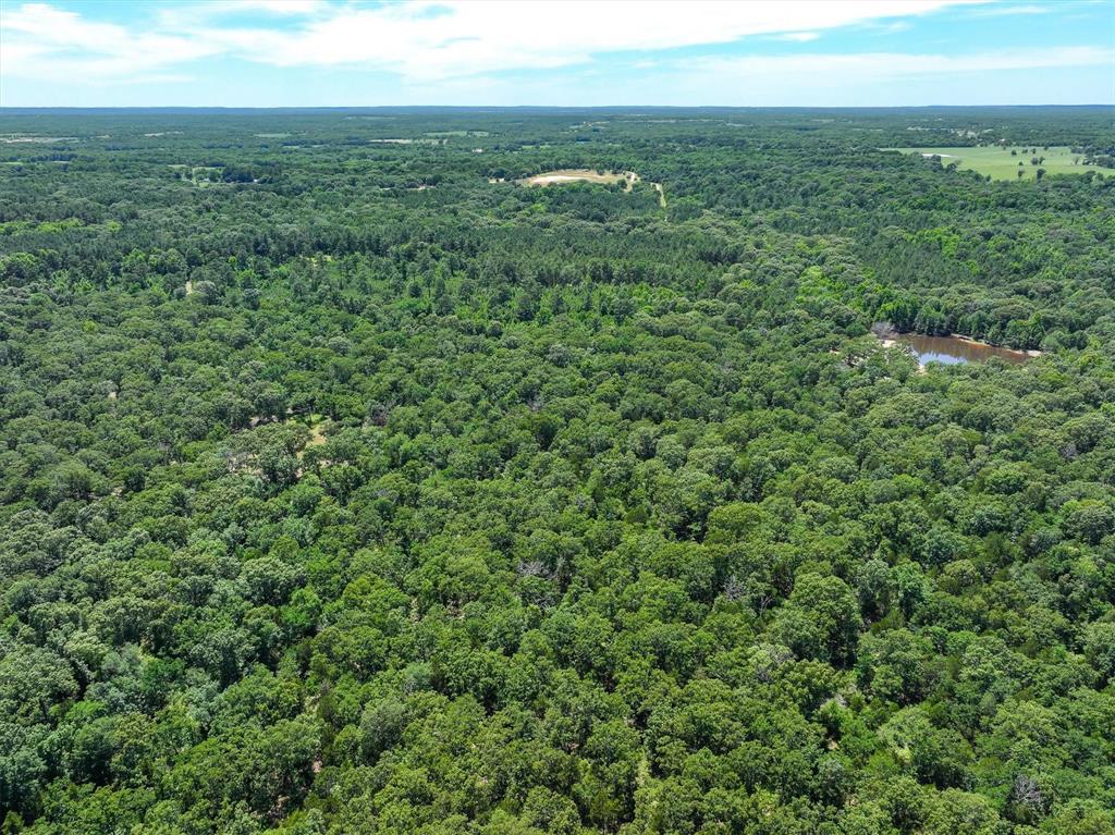 8079 Rd Ben Wheeler Tx 75754 Road Ben Wheeler, TX 75754 - Photo 29 of 37 an aerial view of residential houses with outdoor space and trees