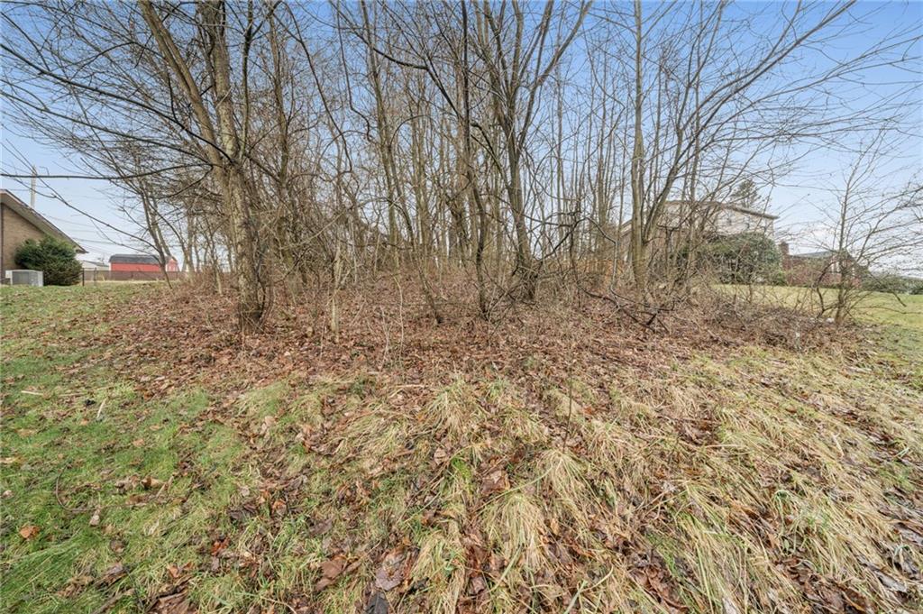 1810 Naser Road North Versailles, PA 15137 - Photo 10 of 14 a view of a dry yard with trees