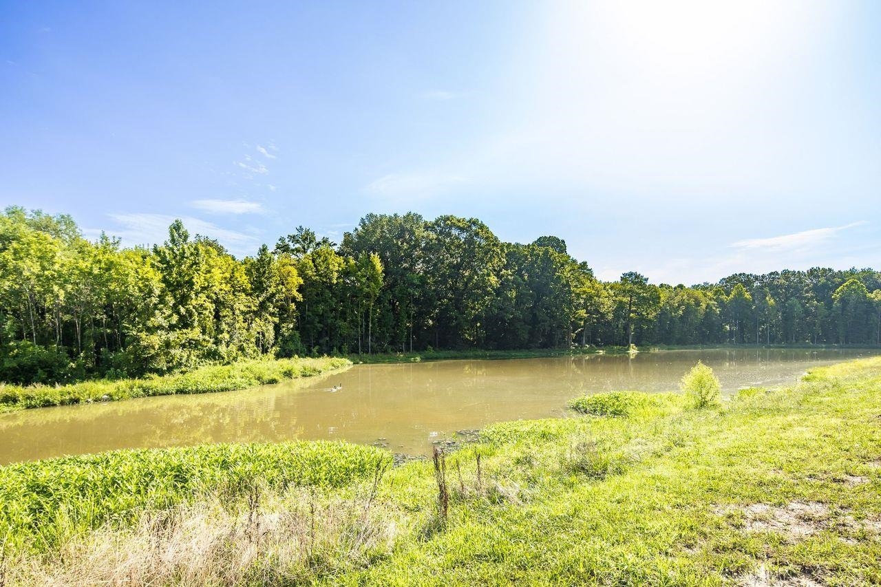 356 River Branch Drive Collierville, TN 38017 - Photo 29 of 31