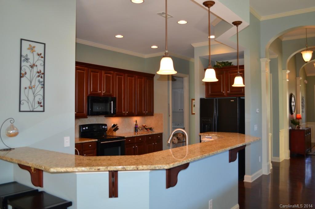 1392 Secret Path Drive Fort Mill, SC 29708 - Photo 7 of 21