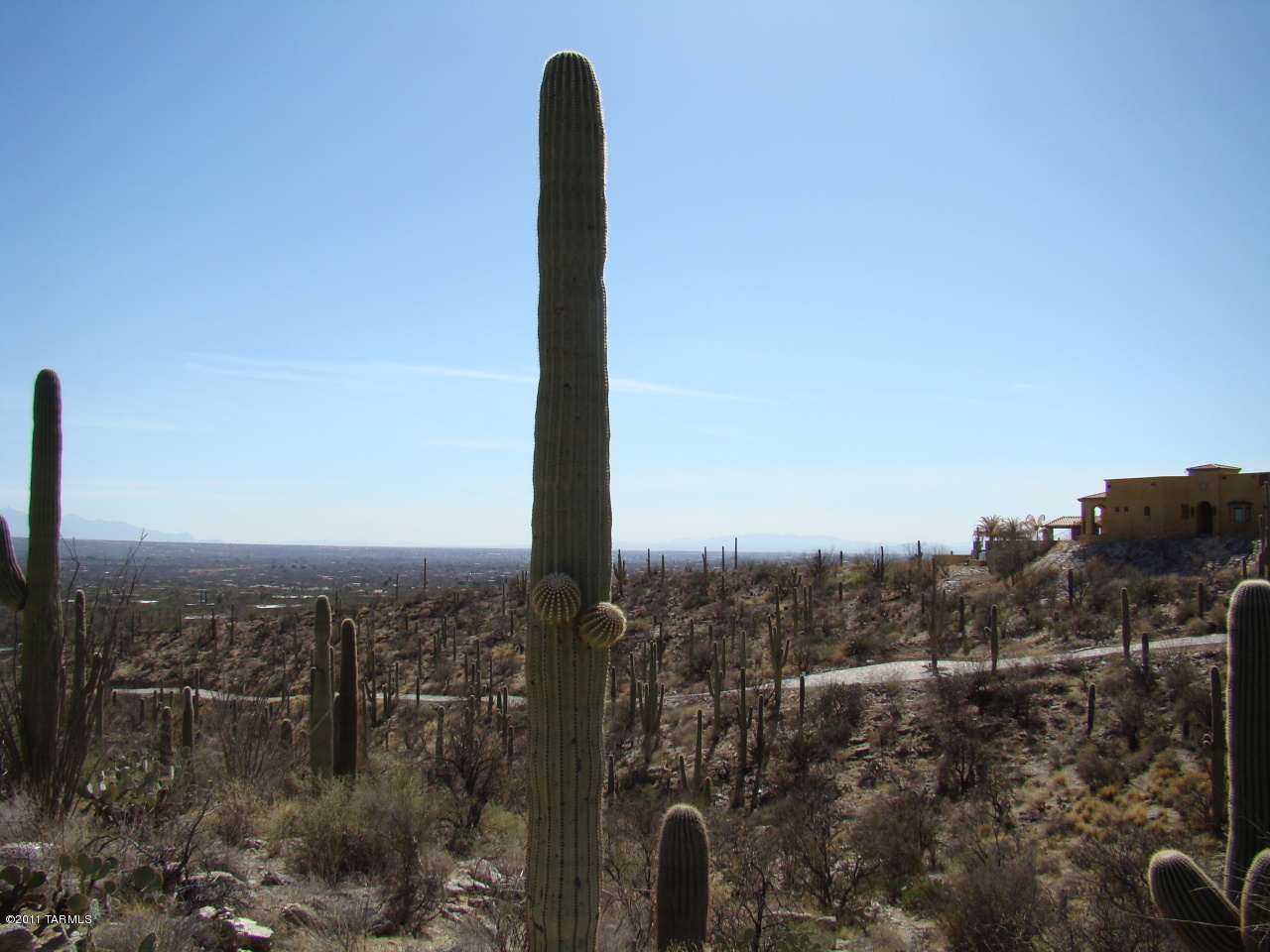 12161 East Coronado Road Tucson, AZ 85749 - Photo 6 of 11 Gallery Image 6