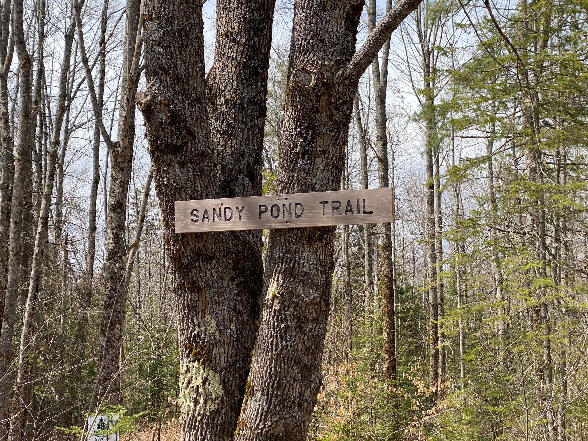 0 Goosepecker Ridge Montville, ME 04941 - Photo 19 of 20 IMG_1934