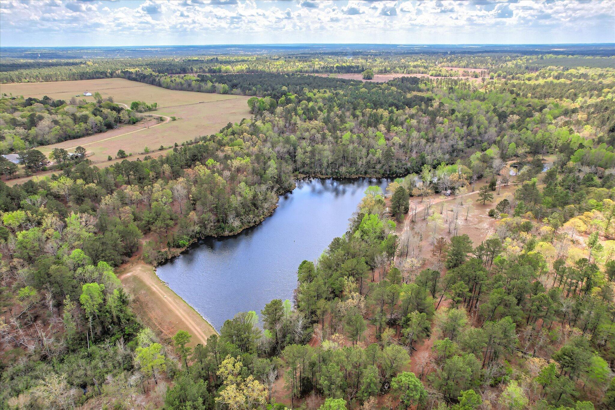 0 Courtney Road Trenton, SC 29847 - Photo 13 of 21 Main Pond Aerial