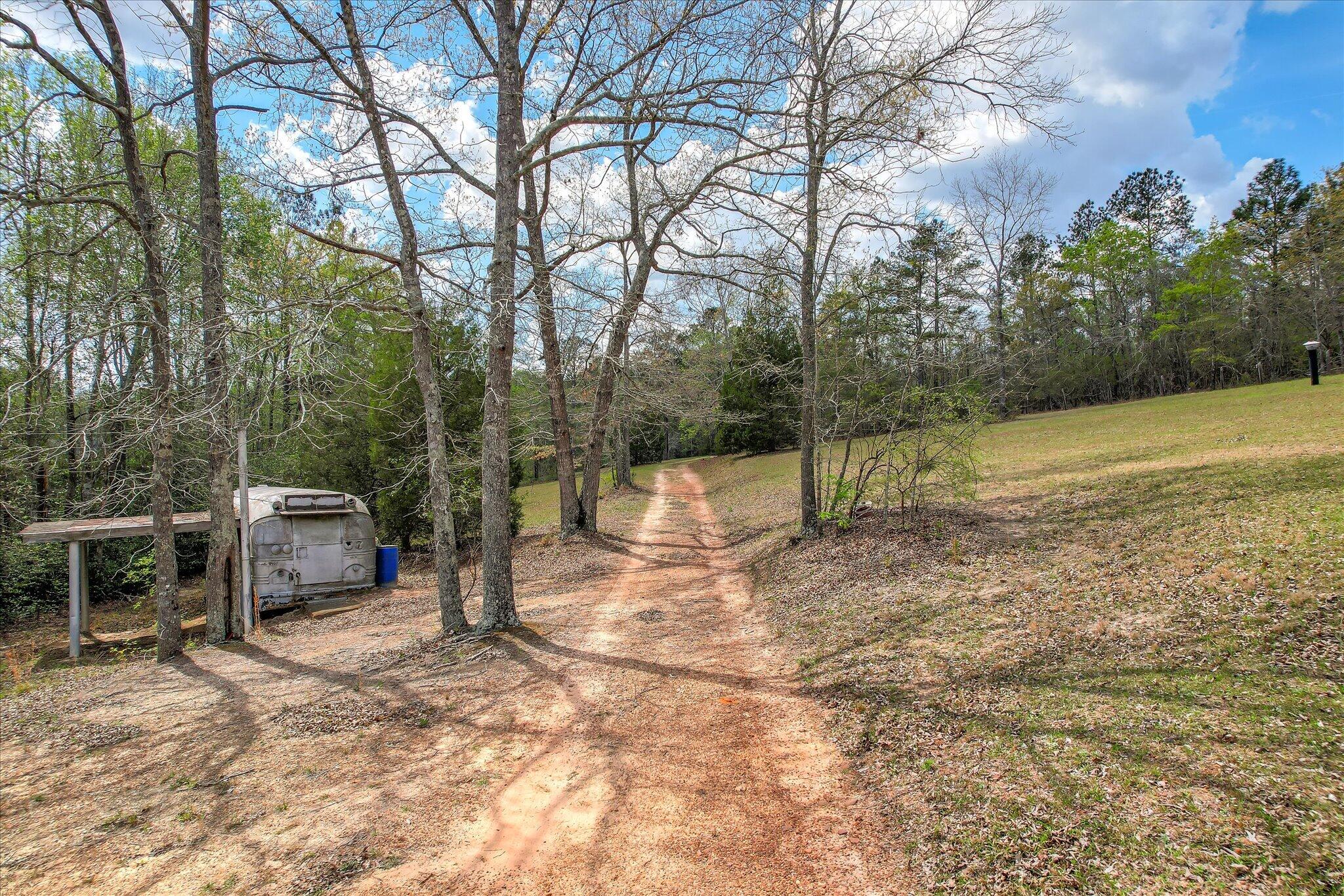 0 Courtney Road Trenton, SC 29847 - Photo 19 of 21 Field View