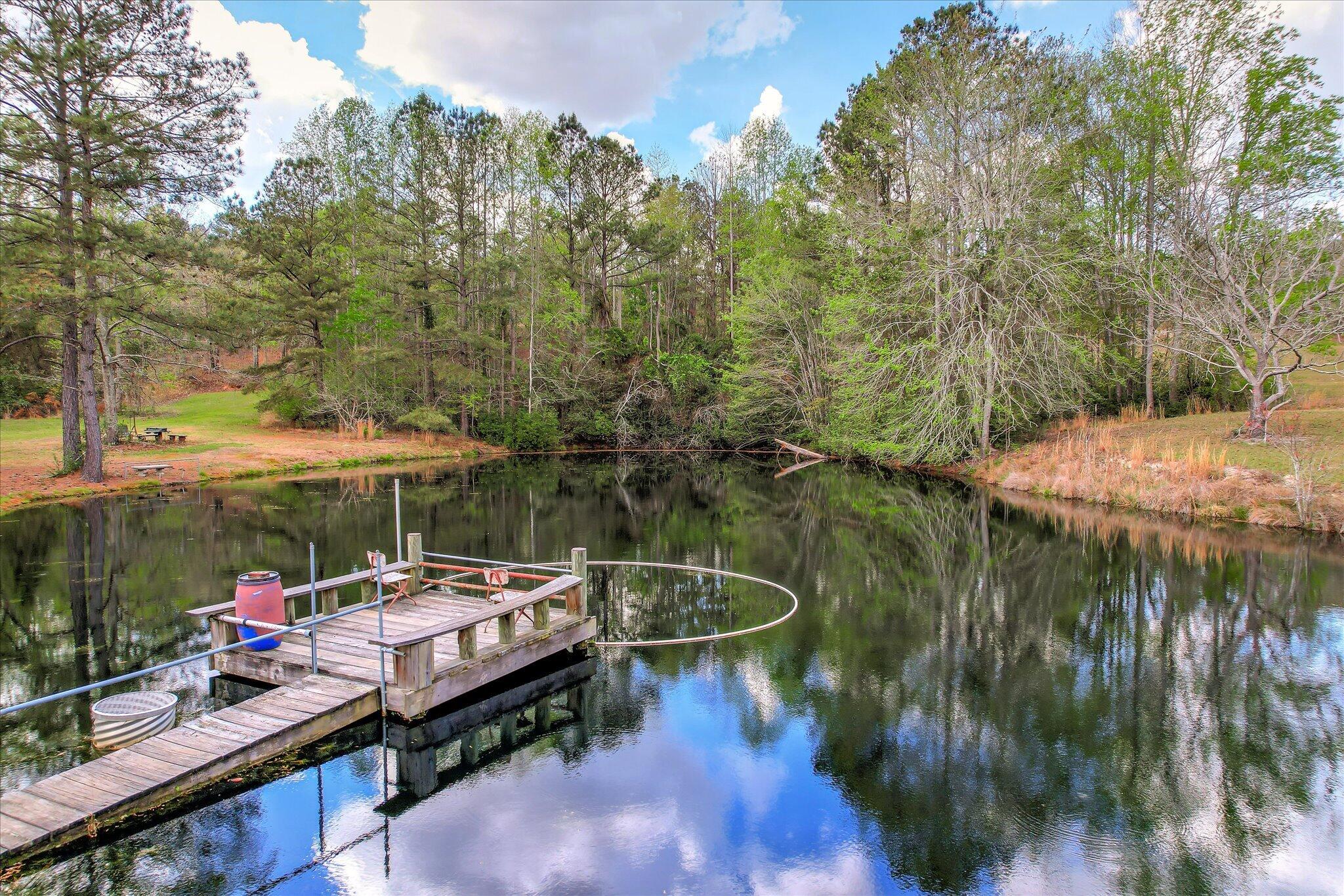 0 Courtney Road Trenton, SC 29847 - Photo 3 of 21 Pond Dock