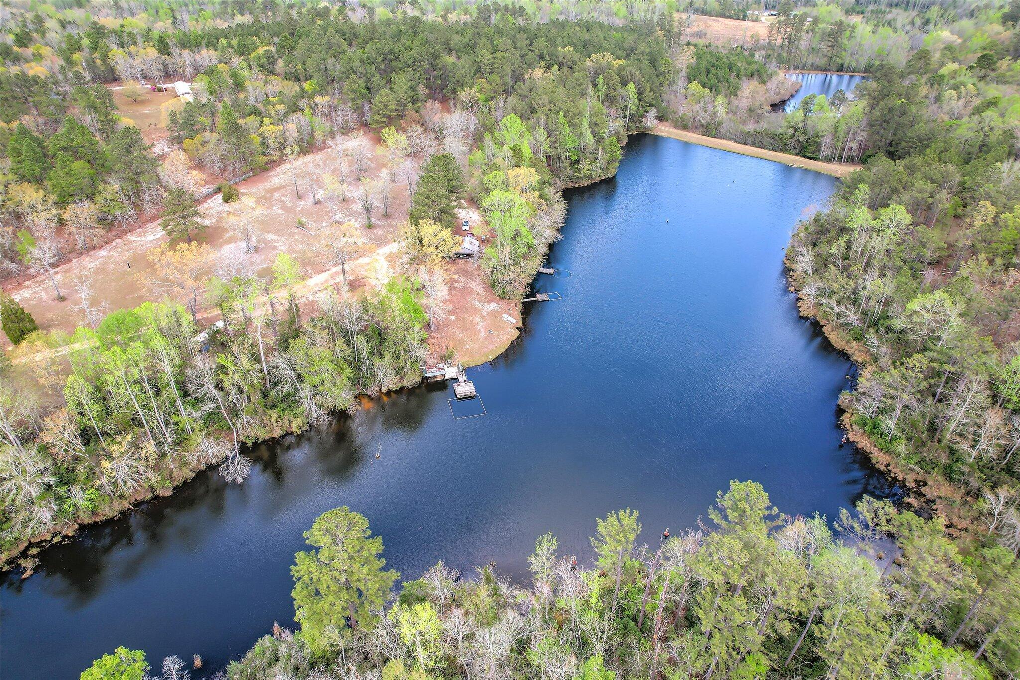 0 Courtney Road Trenton, SC 29847 - Photo 6 of 21 Main Pond Aerial View