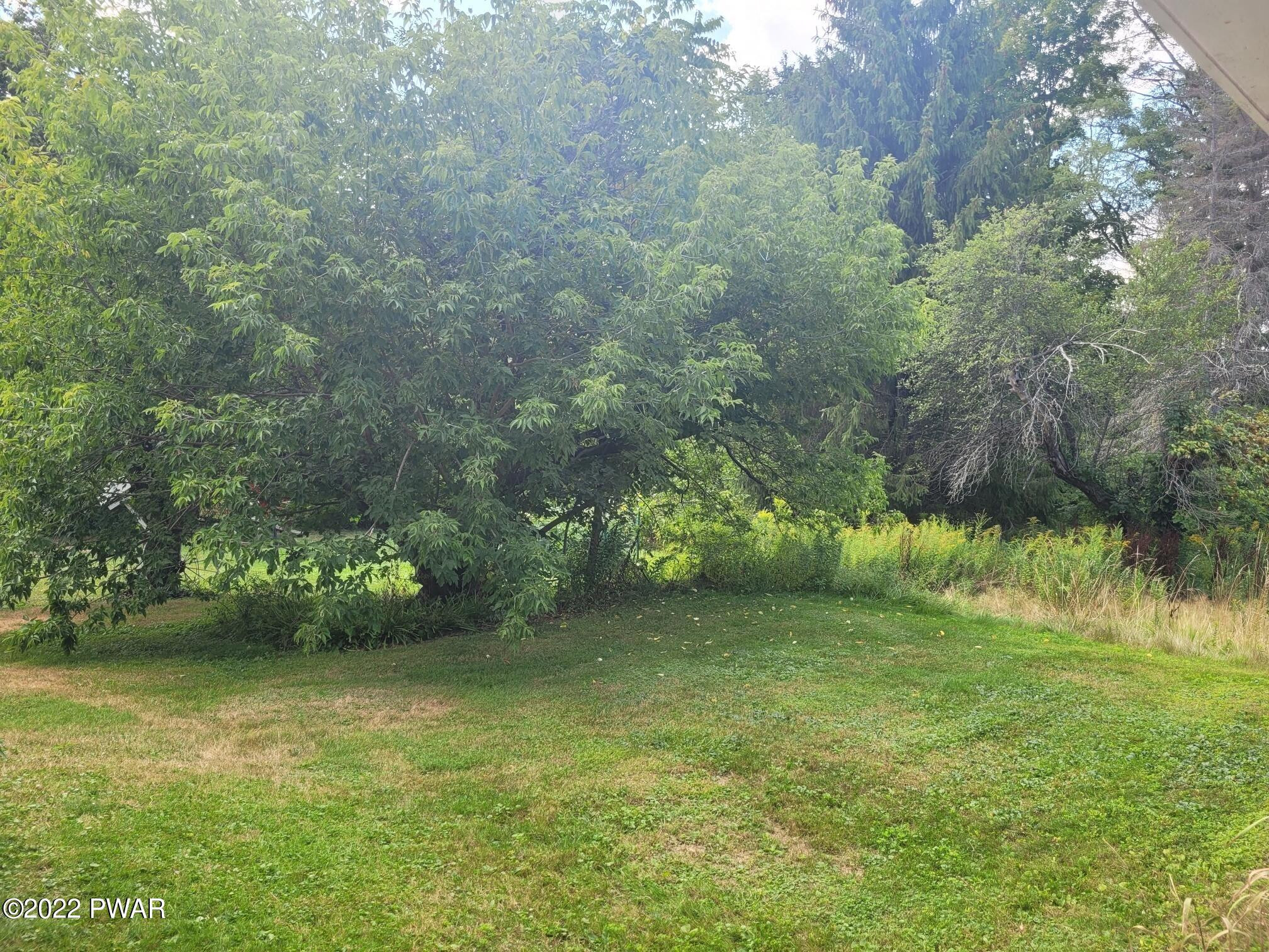 355 Honesdale Road Waymart, PA 18472 - Photo 7 of 27 Back Yard