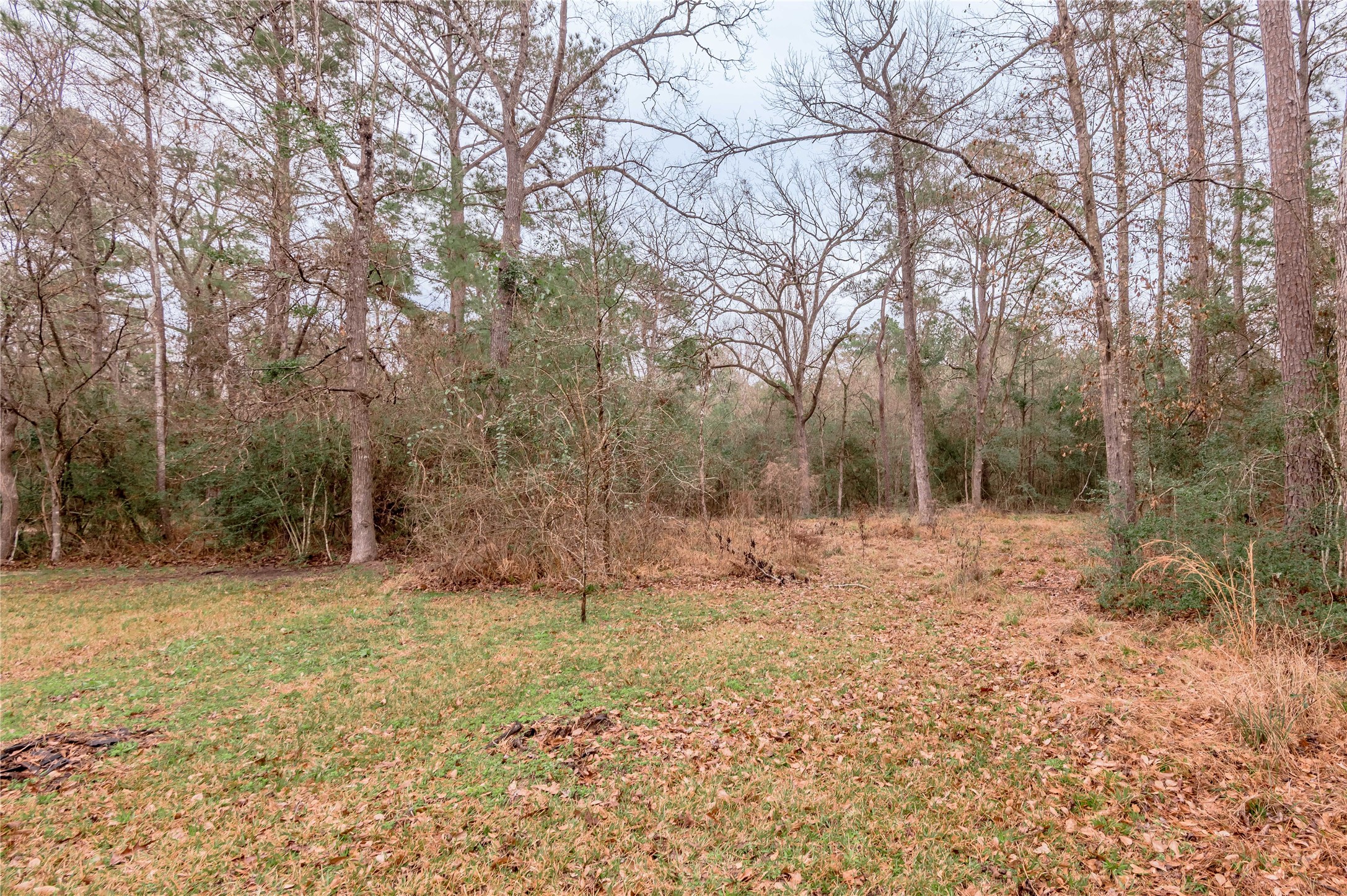 20 Tall Timbers Way Huntsville, TX 77320 - Photo 35 of 41 a fire hydrant in the middle of a field