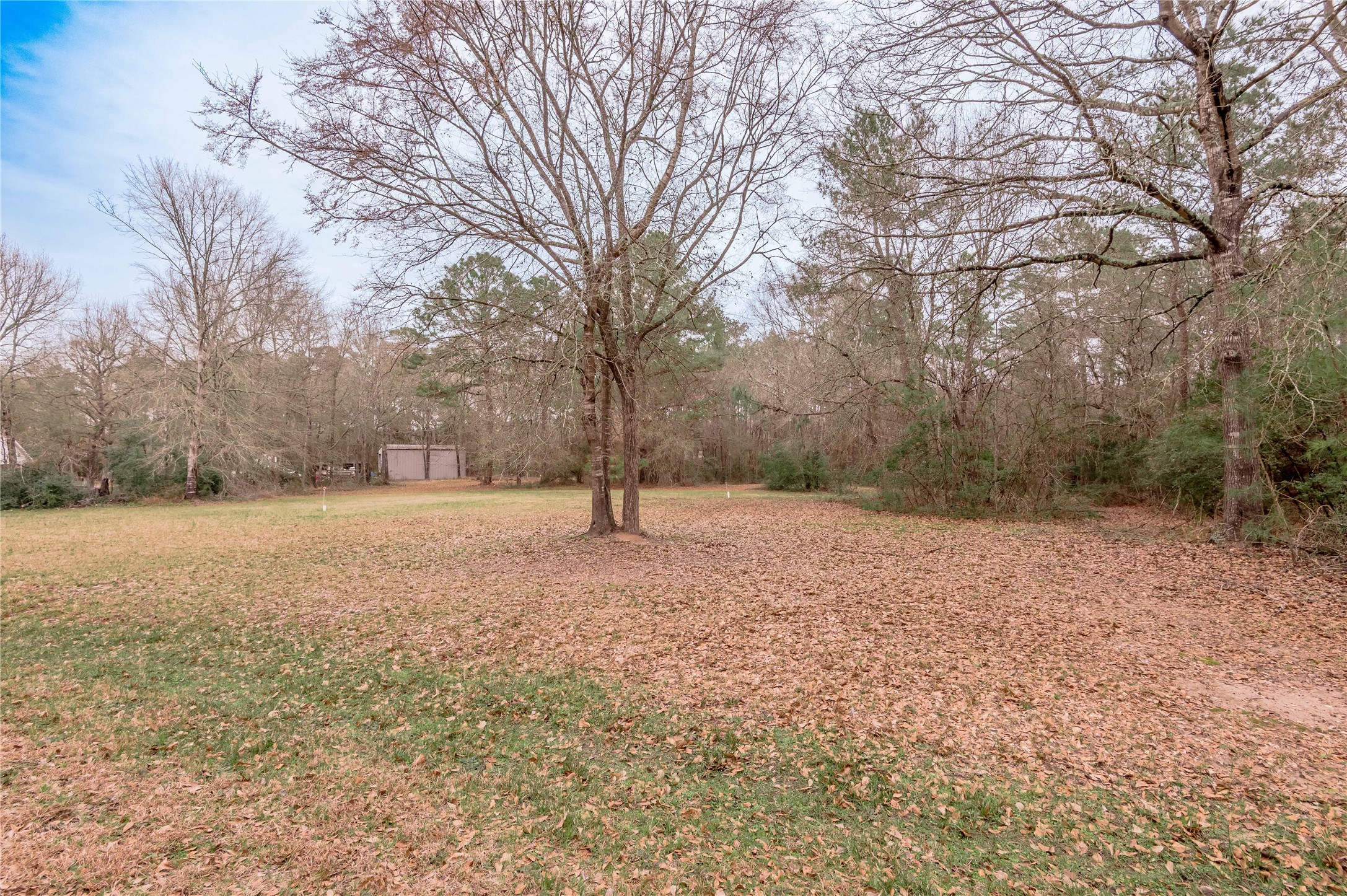20 Tall Timbers Way Huntsville, TX 77320 - Photo 37 of 41 a view of dirt yard and tree