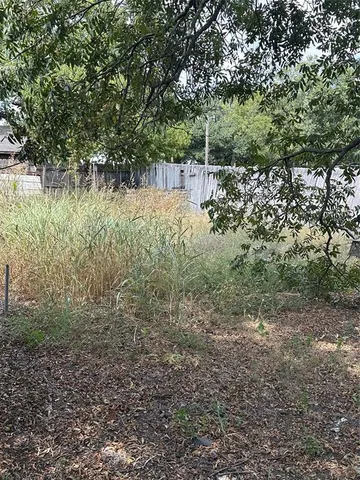 a view of a forest with trees in the background