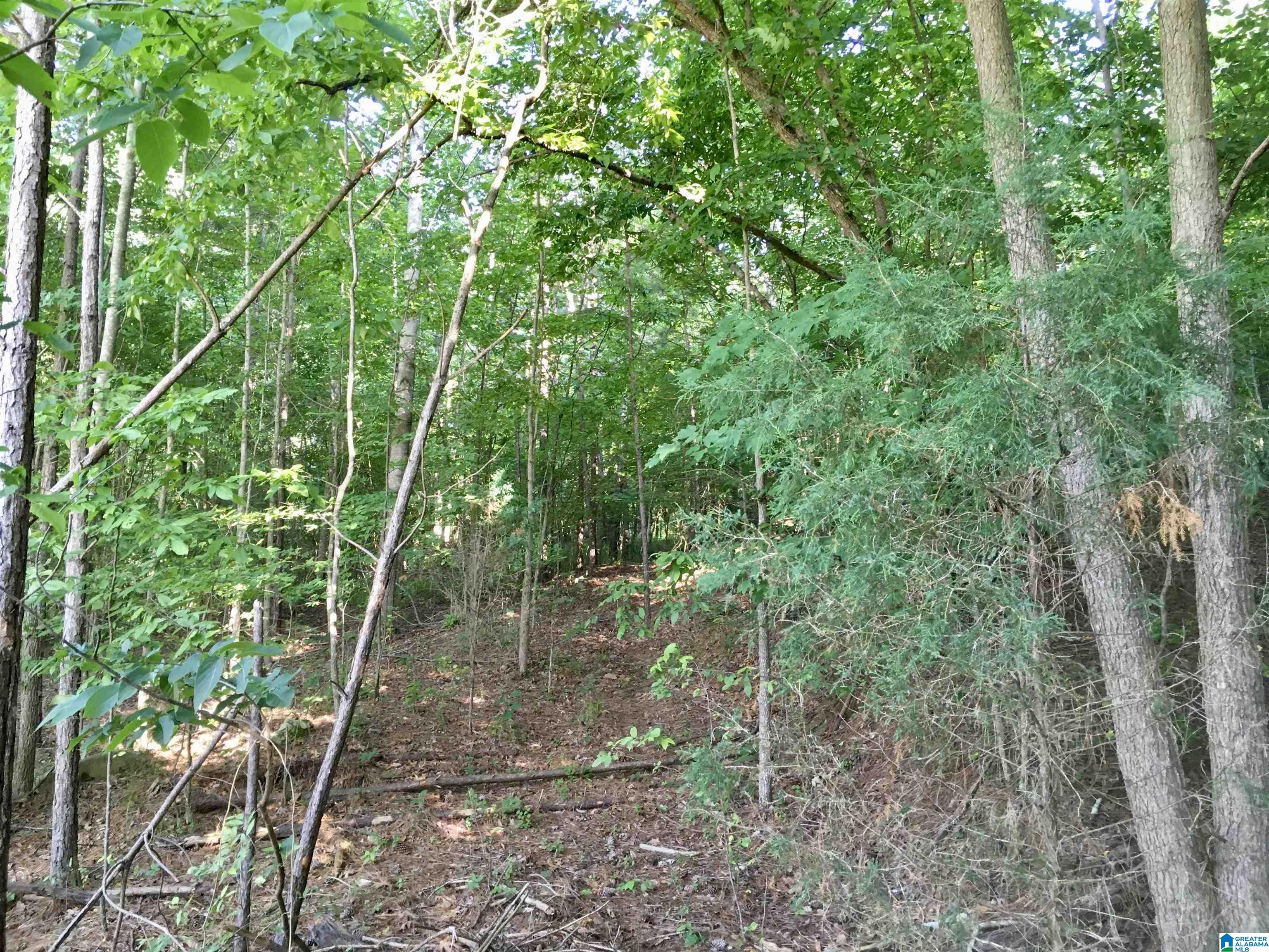0 Quail Ridge Road, Unit 1 Oneonta, AL 35121 - Photo 28 of 29