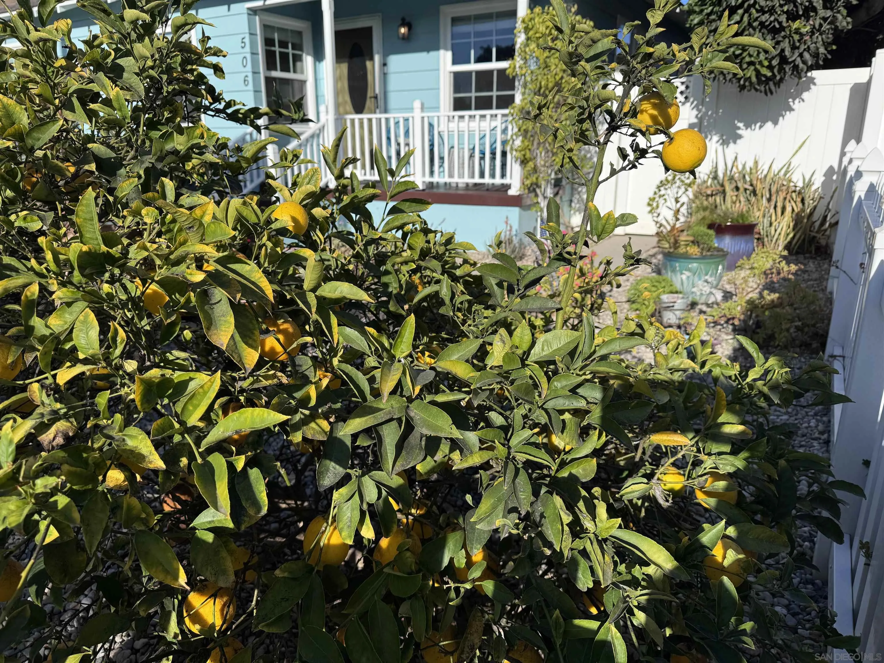 506 South Freeman Street Oceanside, CA 92054 - Photo 18 of 20 a view of a house with a tree