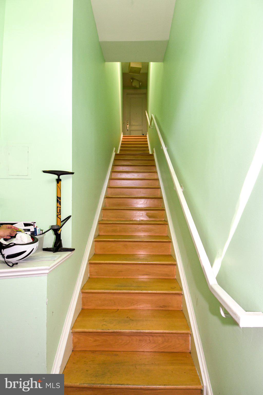 1316 9th Street Northwest Washington, DC 20001 - Photo 12 of 44 Inviting ascent in fresh green hues.