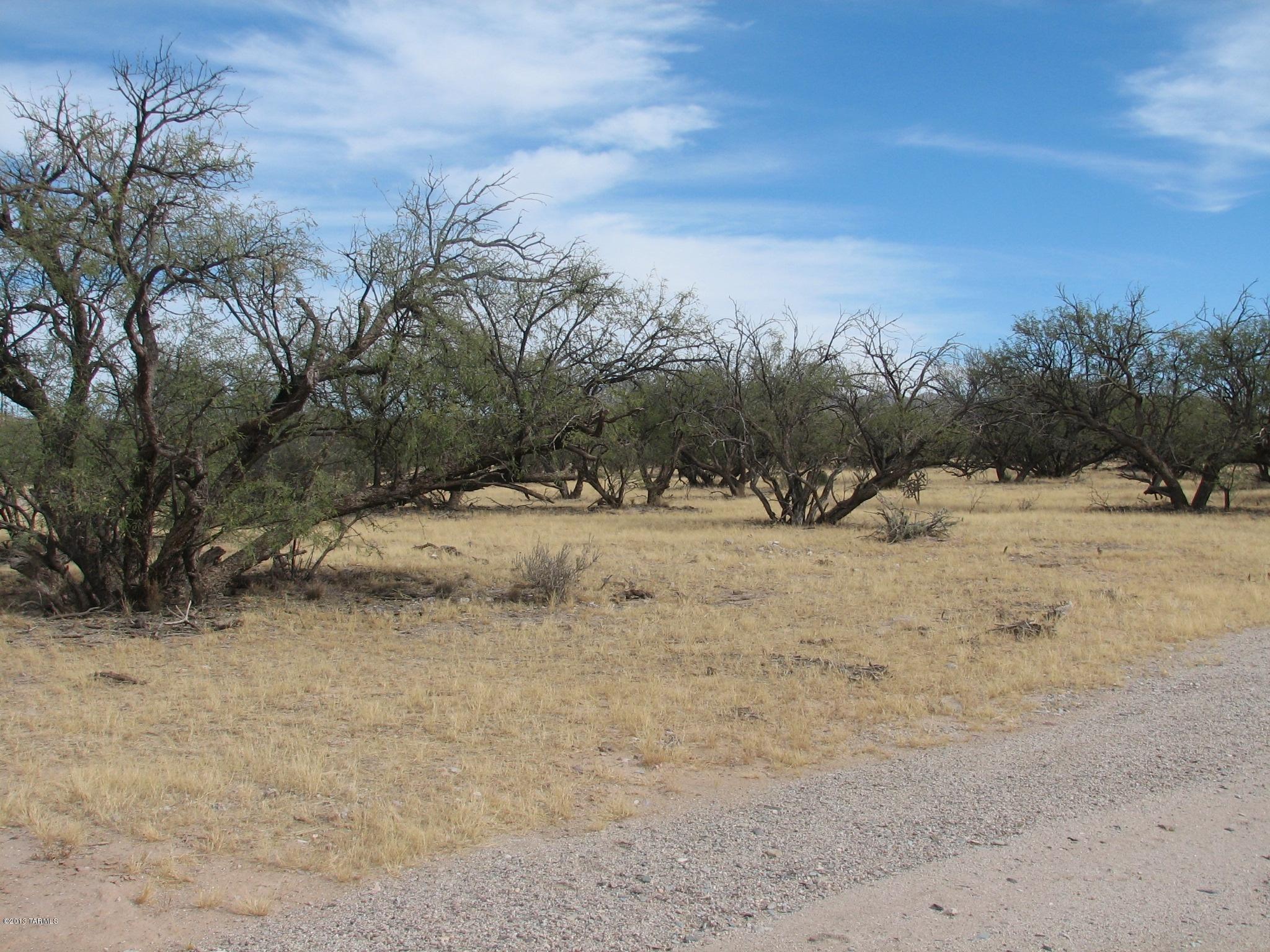 North Cascabel Road Benson, AZ 85602 - Photo 6 of 7