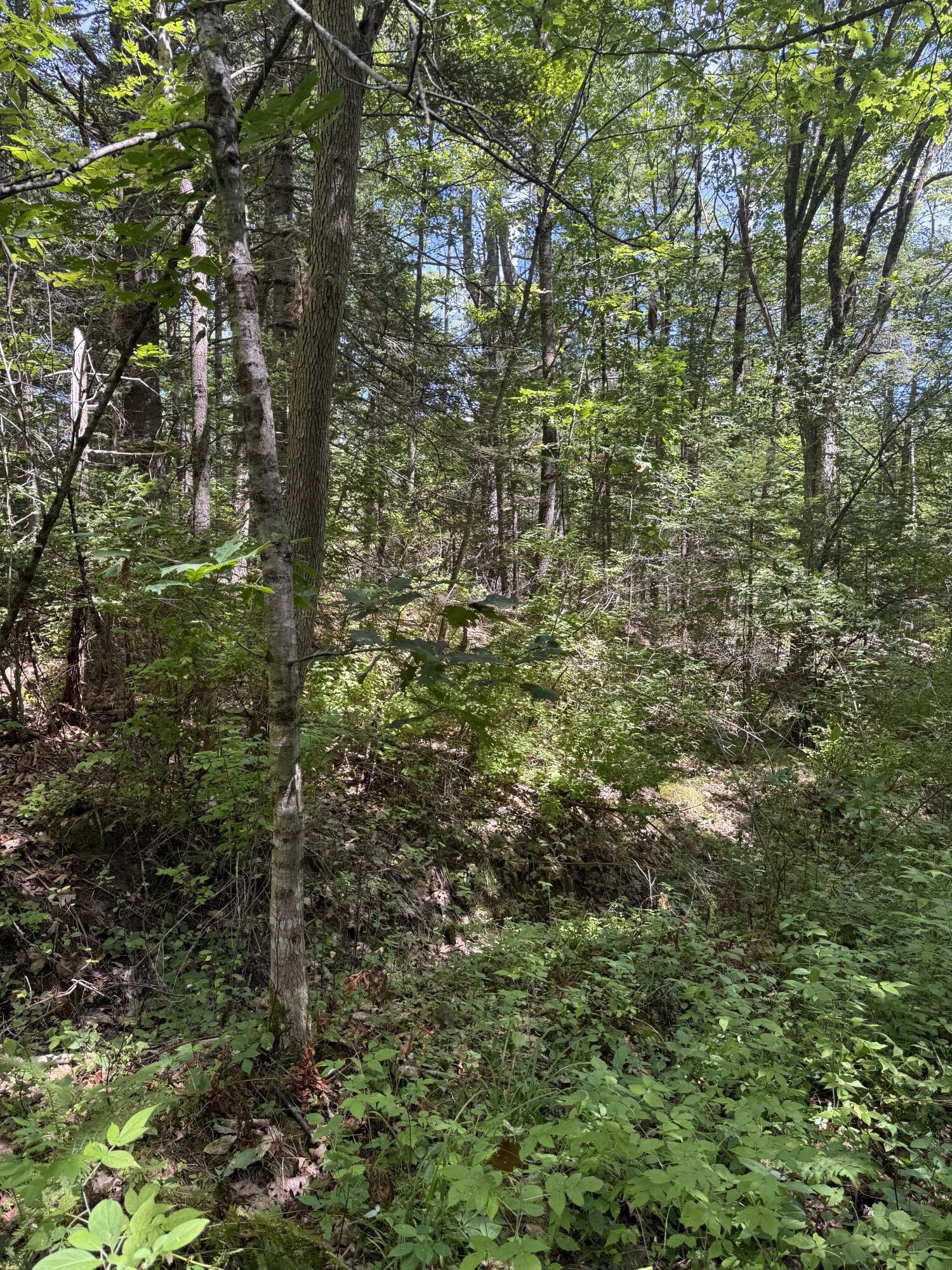 Lot 59 Carding Machine Road Bowdoinham, ME 04008 - Photo 1 of 3 59 CMR 2