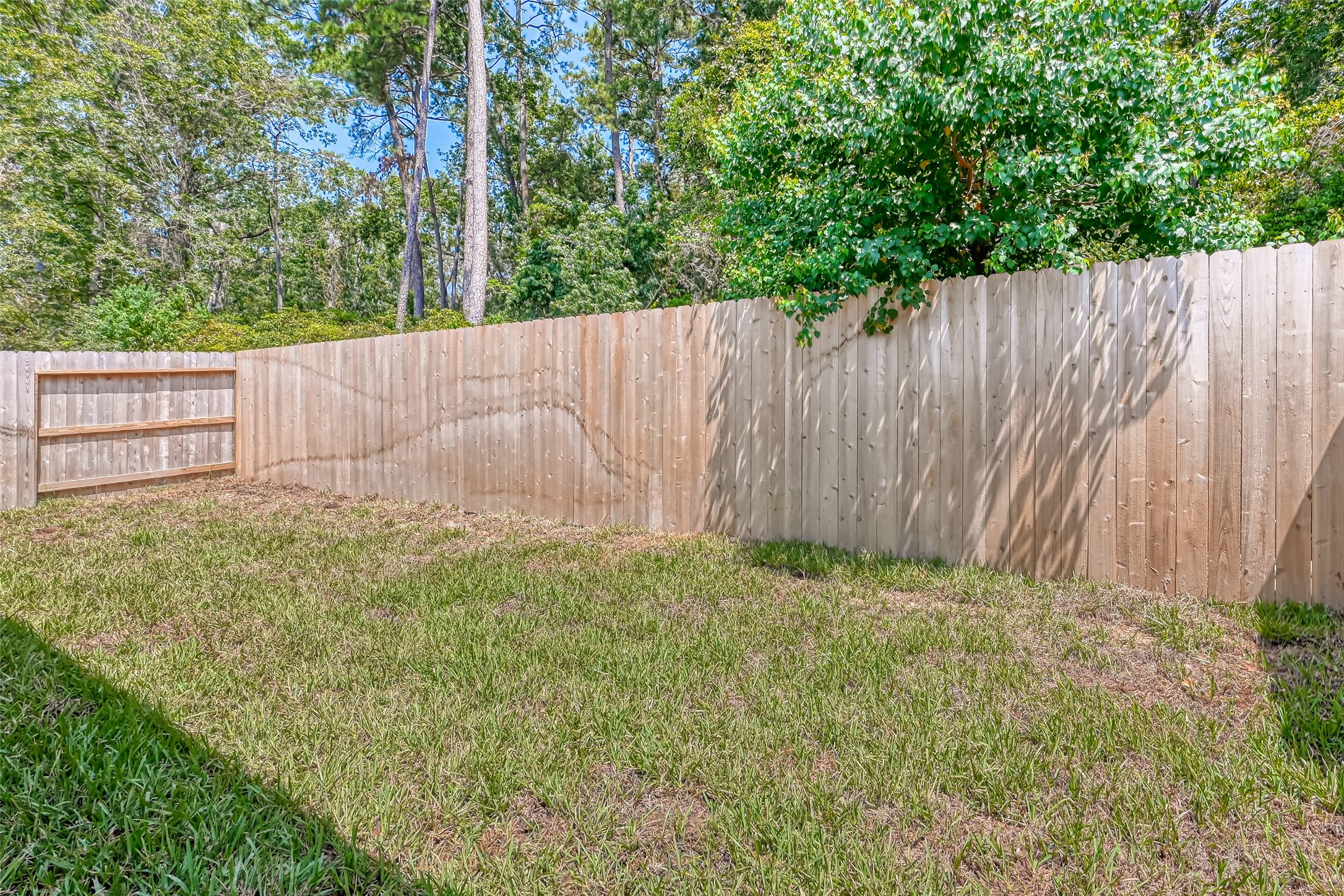 32037 Towering Birch Trail Conroe, TX 77385 - Photo 35 of 38 a view of a backyard