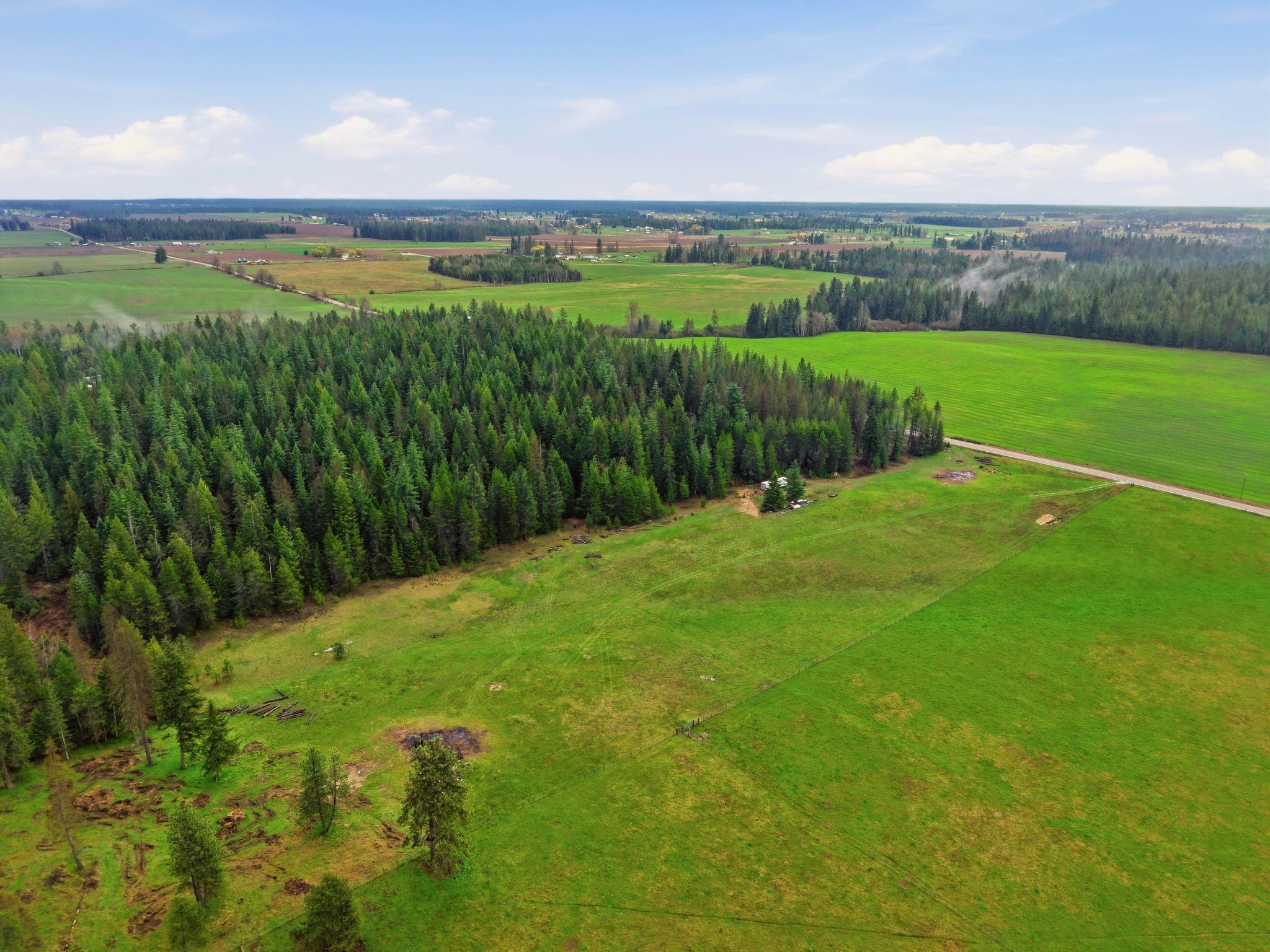 Nka West Oregon Road Deer Park, WA 99006 - Photo 3 of 11