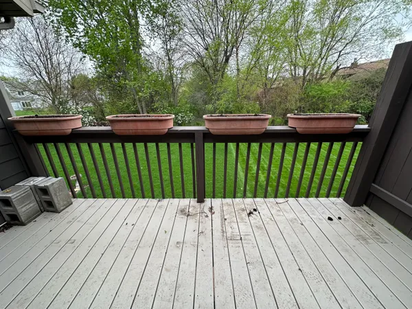 a view of a backyard with a garden and plants