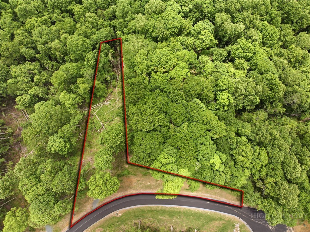Lot 191 Raspberry Lane Elk Park, NC 28622 - Photo 3 of 12