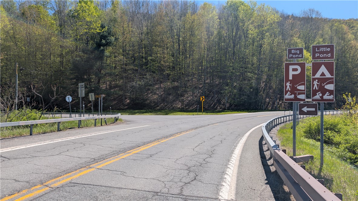 Lot 5 East River Road Andes, NY 13731 - Photo 12 of 39
