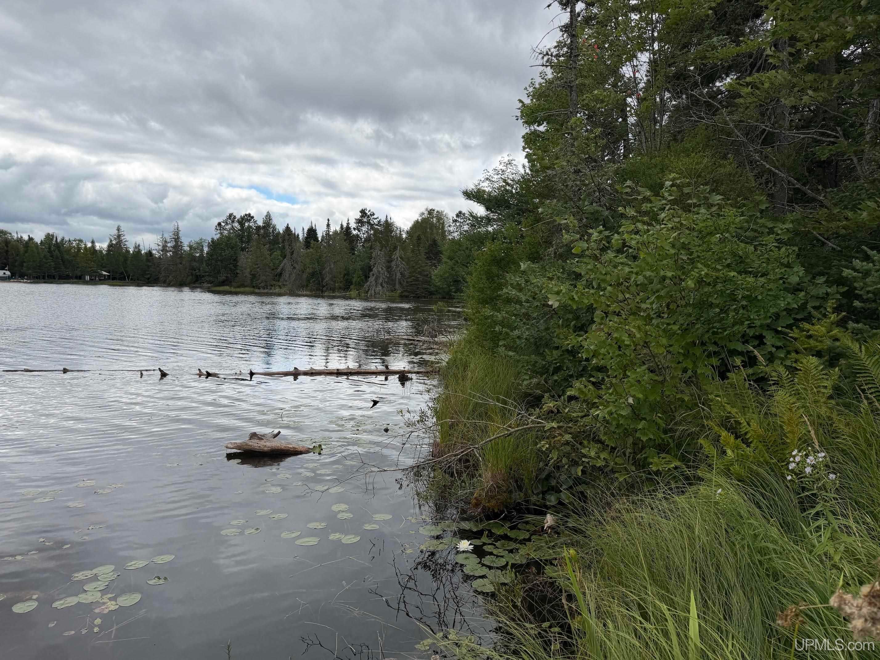 Tbd North Casey Lake Road Ishpeming, MI 49849 - Photo 3 of 19 Gallery Image 3