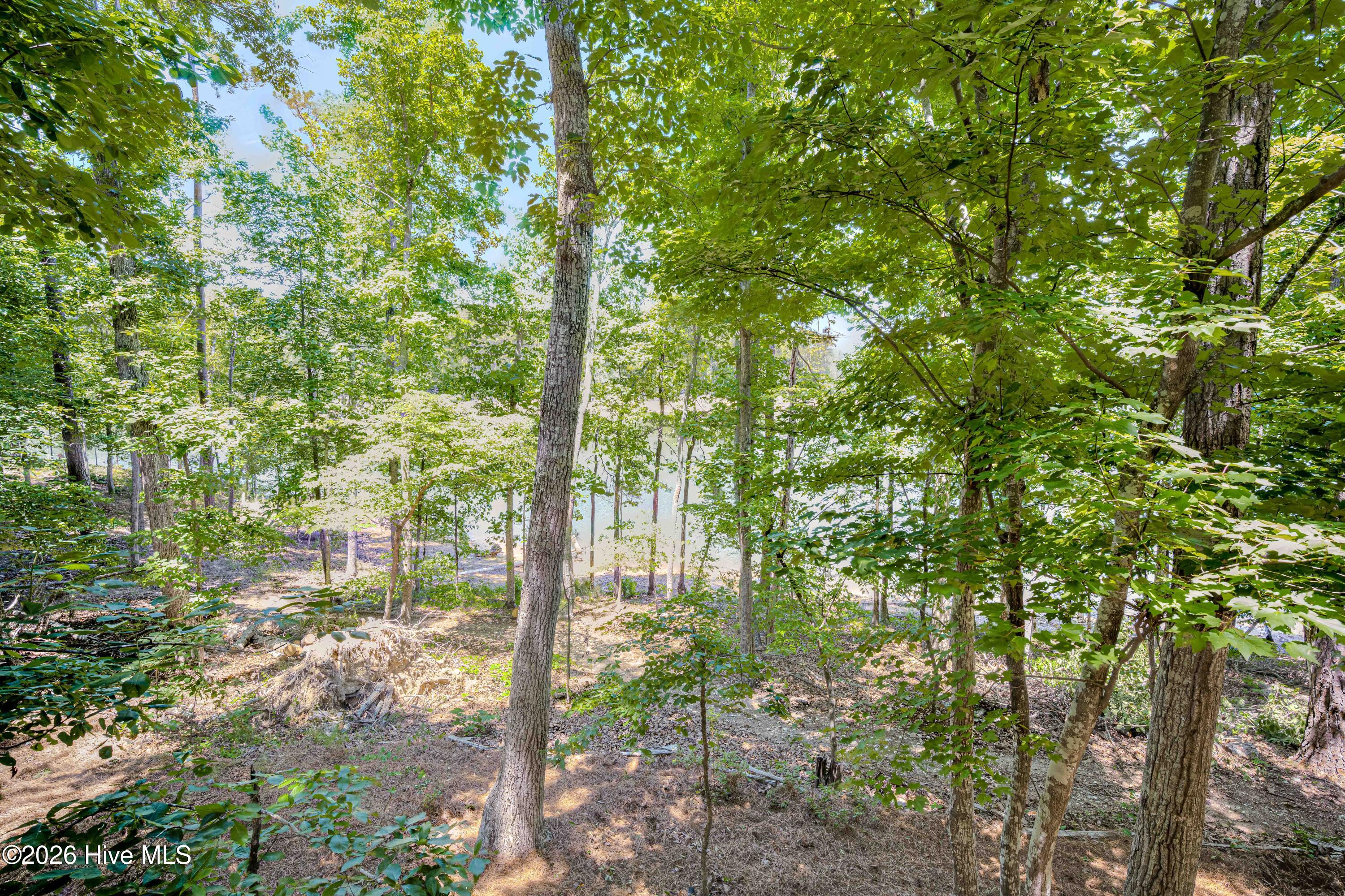 201 Rhett Drive McCormick, SC 29835 - Photo 86 of 107 092-092-
