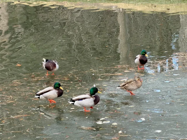 $475,000 | 5152 Buckingham Road, Boulder, CO 80301