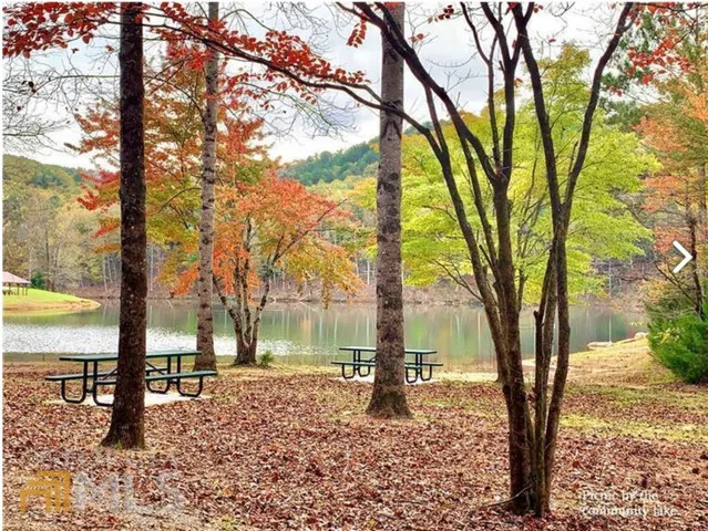 a view of a yard with an outdoor space