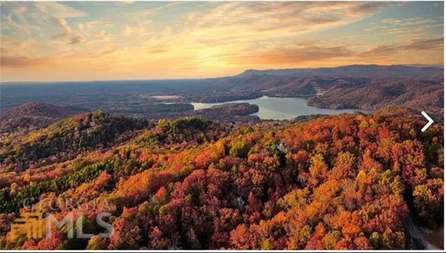 $11,000 | 1462 Hanna Drive, Ranger, GA 30734