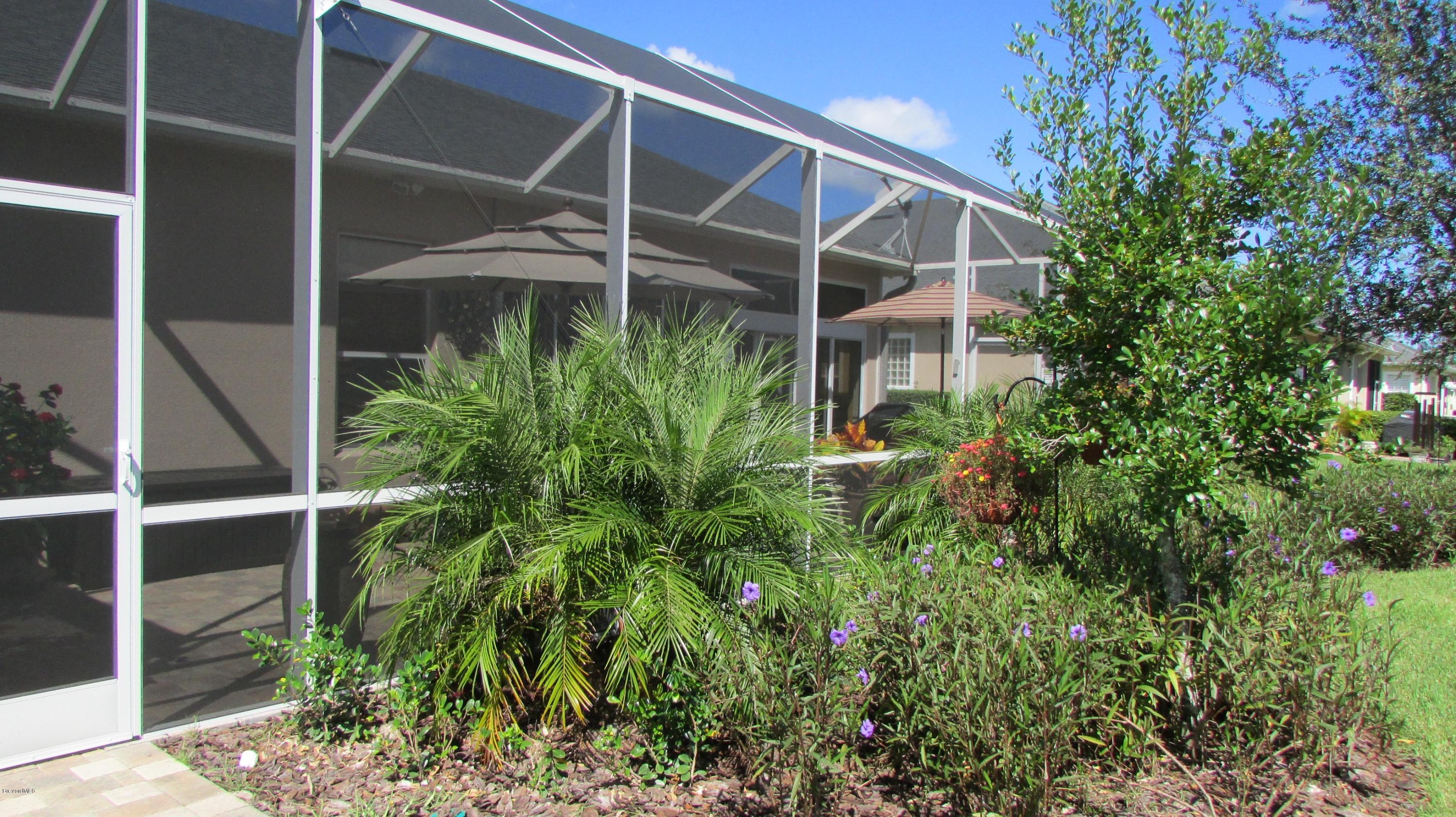 7161 Ralston Street Melbourne, FL 32940 - Photo 23 of 24 Beautiful Landscaping!