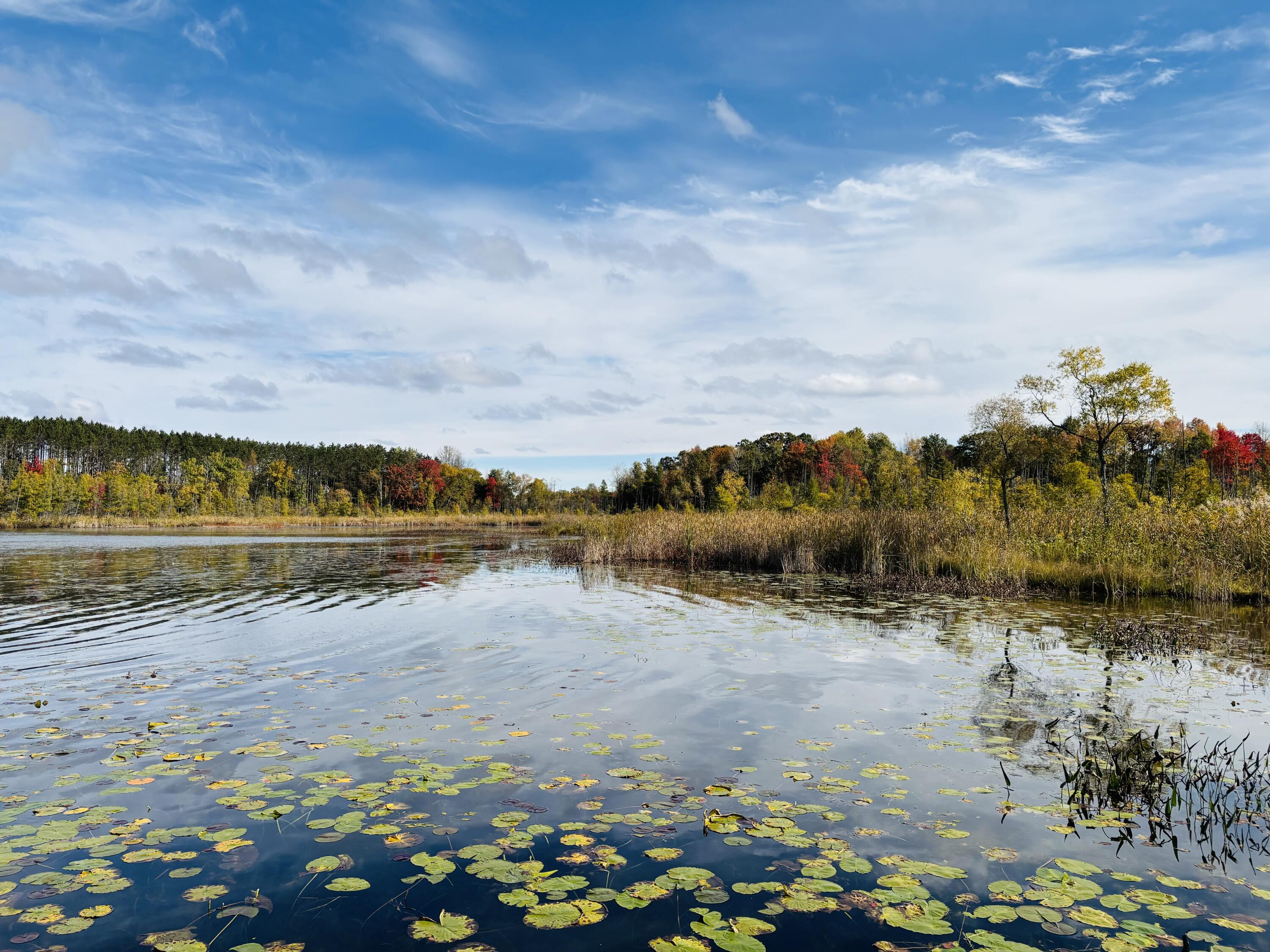 23381 Bluegill Road Sears, MI 49679 - Photo 18 of 19 Merrill Lake