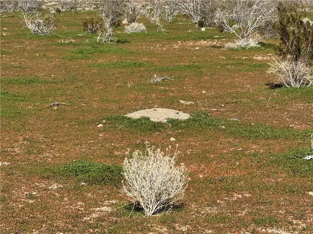 $150,000 | 0 Th, Acton, CA 93510