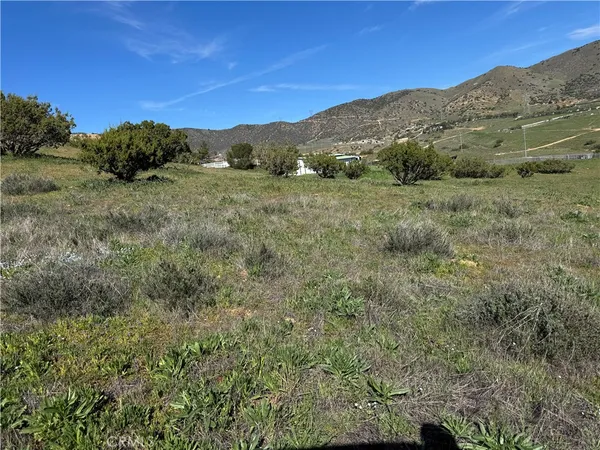 a view of a mountain range with trees