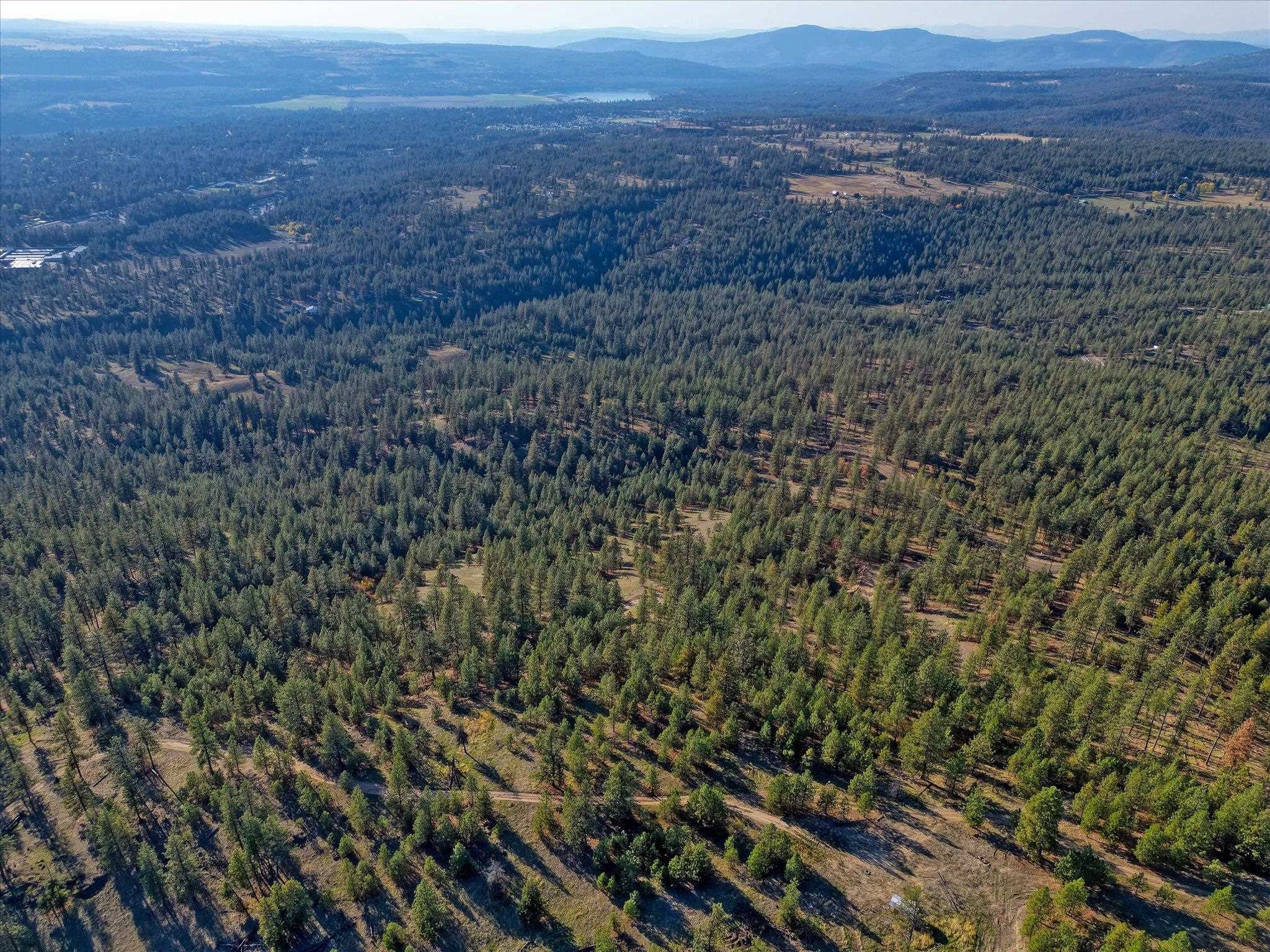 Nine Weaver Road, Unit LOT A Deer Park, WA 99006 - Photo 12 of 16 Gallery Image 12