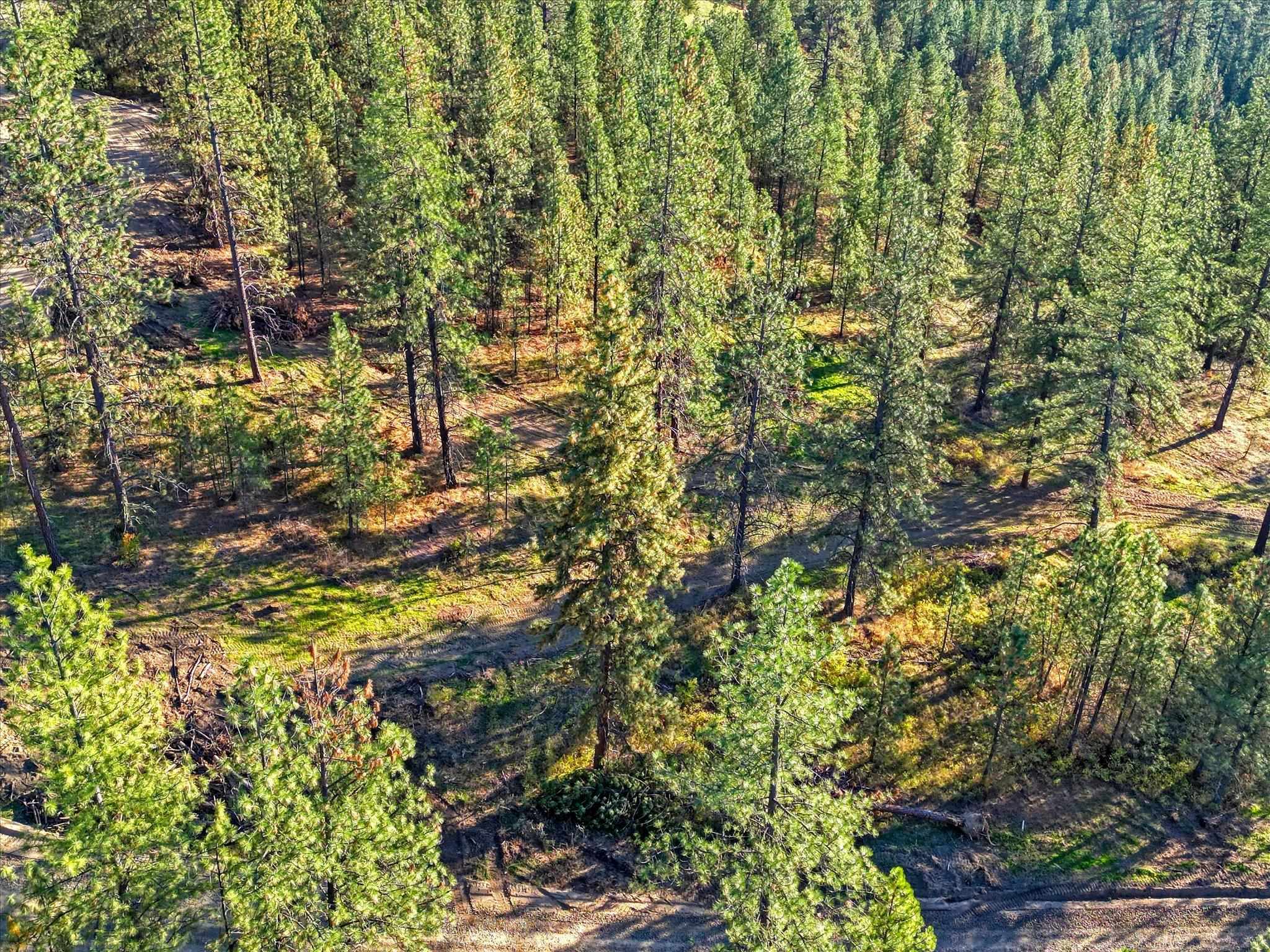 Nine Weaver Road, Unit LOT A Deer Park, WA 99006 - Photo 13 of 16 Gallery Image 13