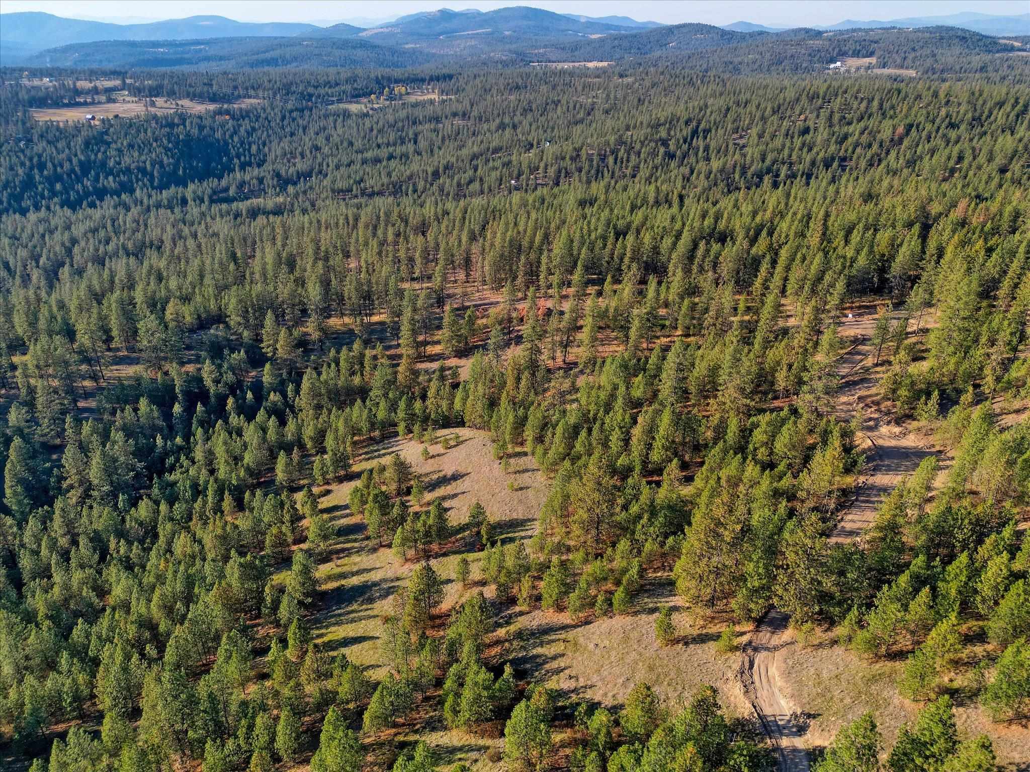 Nine Weaver Road, Unit LOT A Deer Park, WA 99006 - Photo 15 of 16 Gallery Image 15
