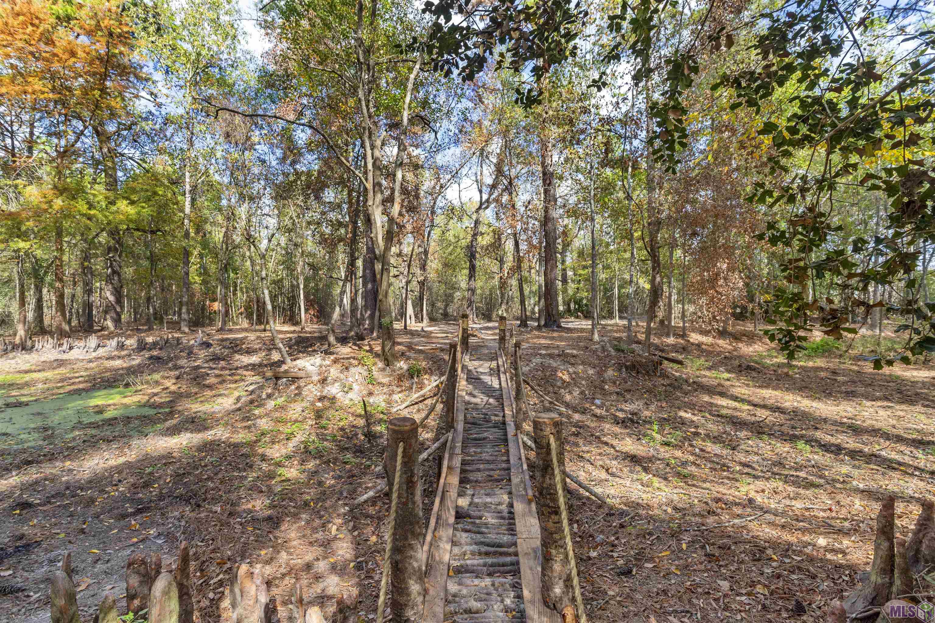 0 4h Club Road Denham Springs, LA 70726 - Photo 4 of 10