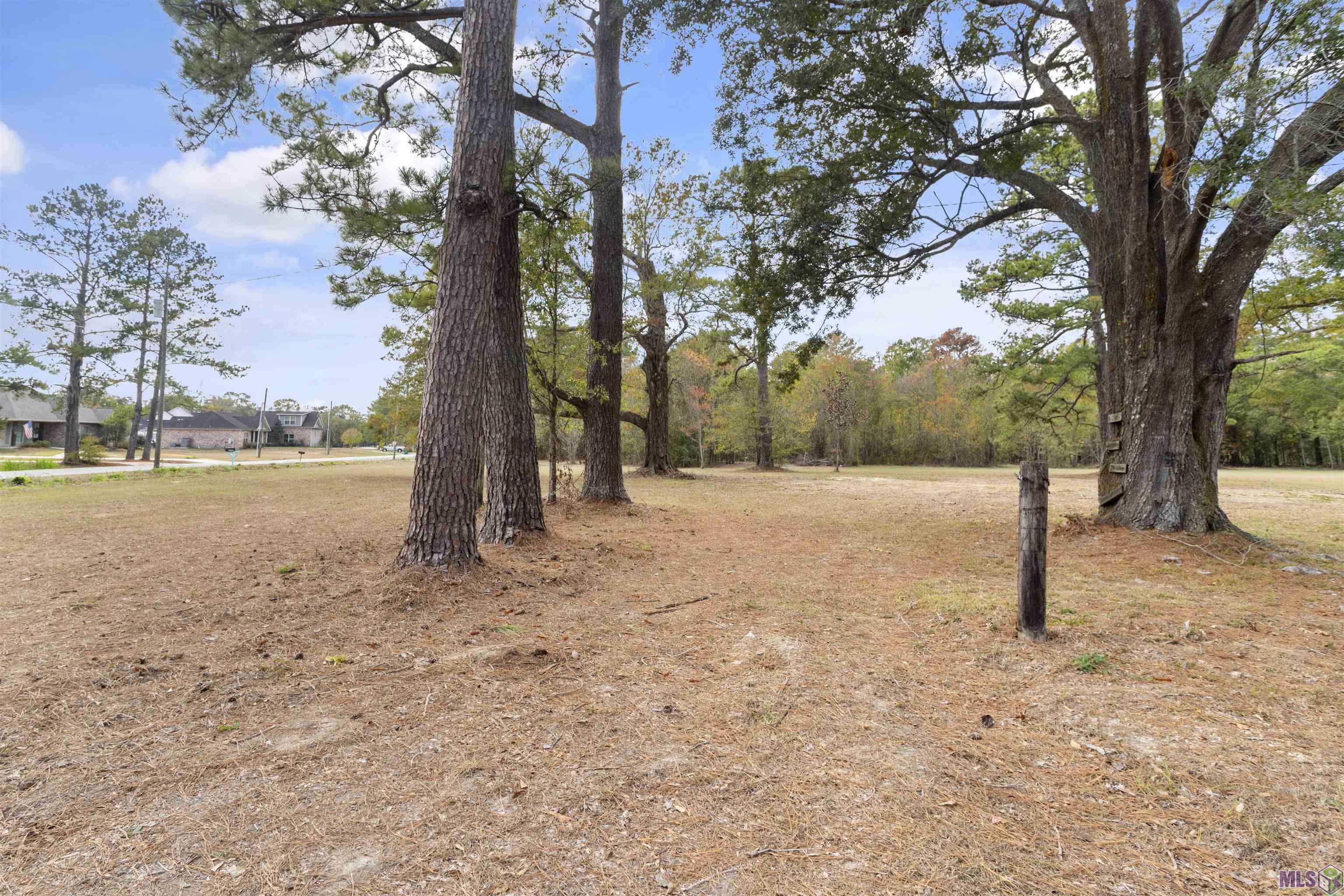 0 4h Club Road Denham Springs, LA 70726 - Photo 5 of 10