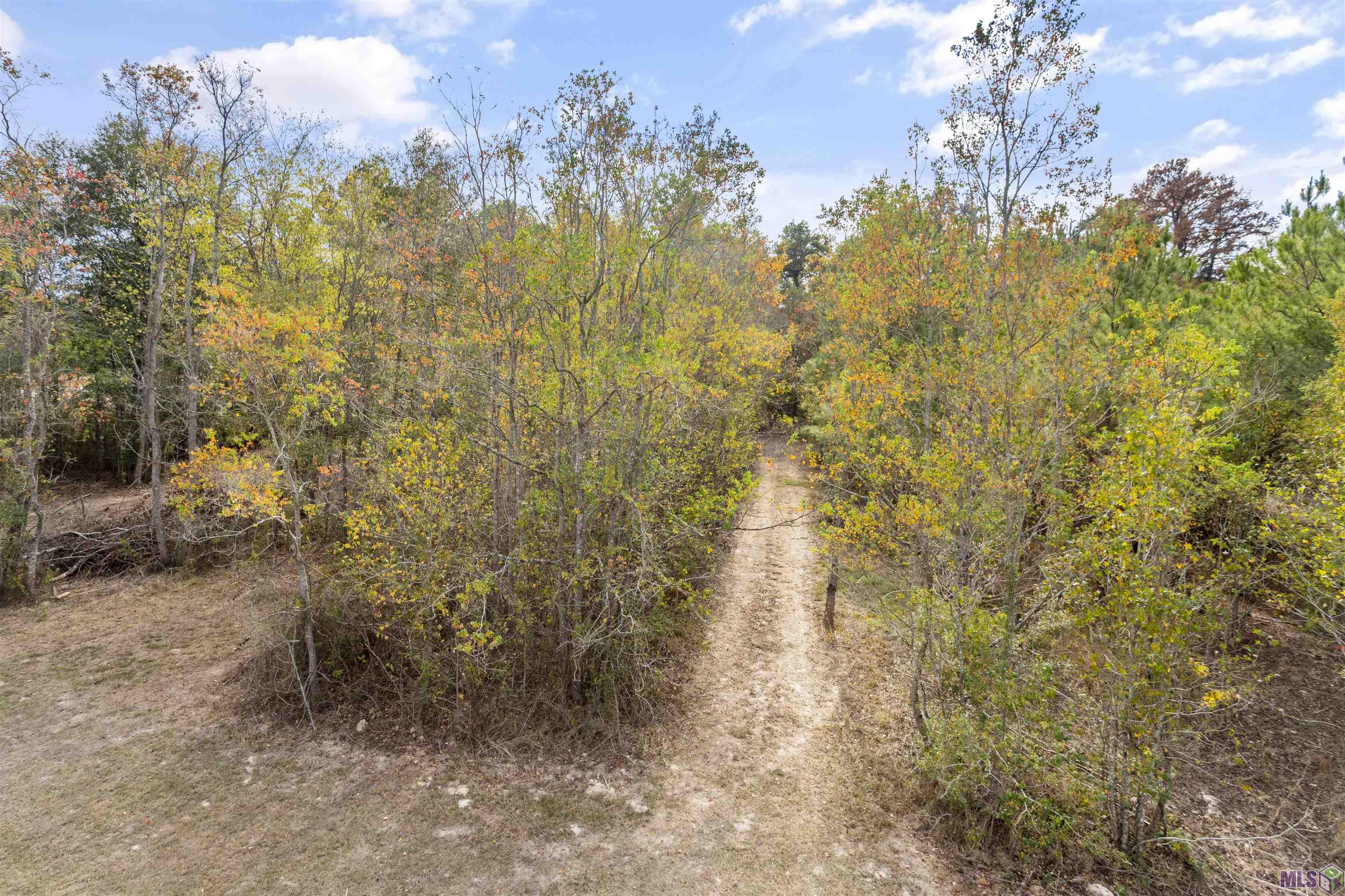 0 4h Club Road Denham Springs, LA 70726 - Photo 7 of 10